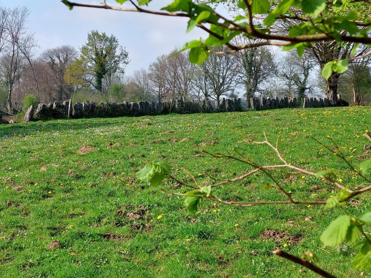 Le Petit Bois Normand - Chambre D'Hote Panzió Champ-du-Boult Kültér fotó