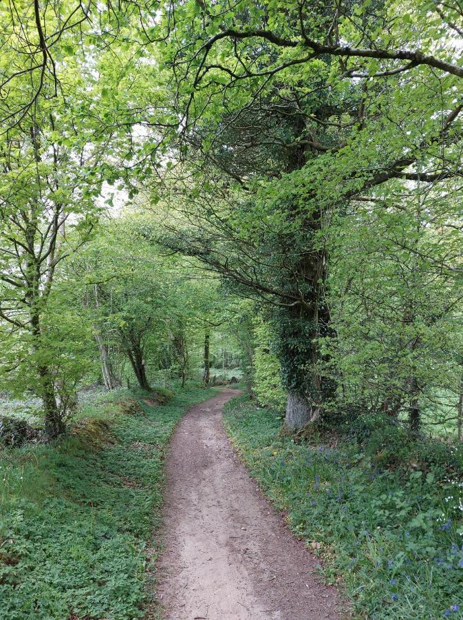 Le Petit Bois Normand - Chambre D'Hote Panzió Champ-du-Boult Kültér fotó